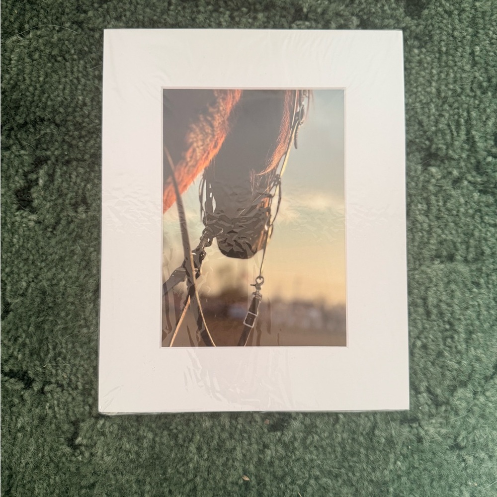 Framed Horse Art Print